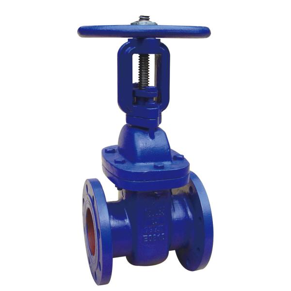 Buy Rust Proof Cast Iron Gate Valve Anti Leak Convenient Maintenance at wholesale prices