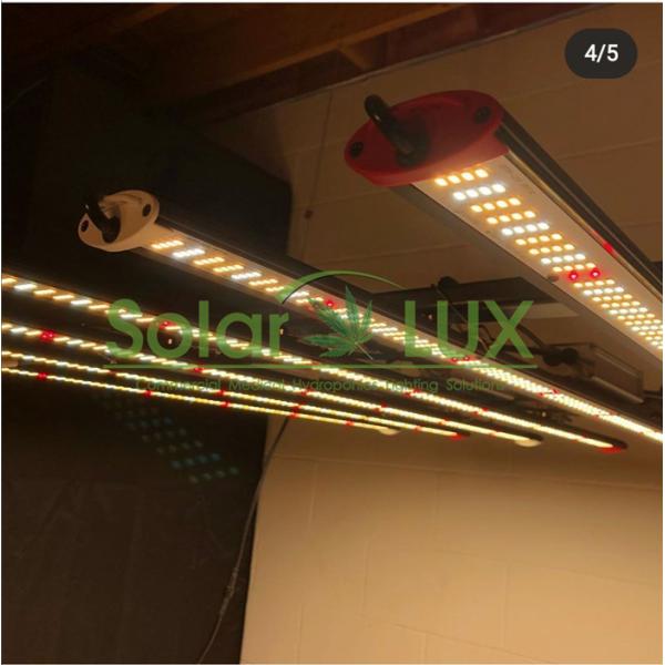 Buy Daisy Chain 8bars 800w 10bars 1000w LED Grow Lights at wholesale prices