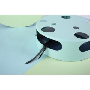 Low Noise Interactive Kitten Toys Innovative Design Hexagon Maze Box Shape