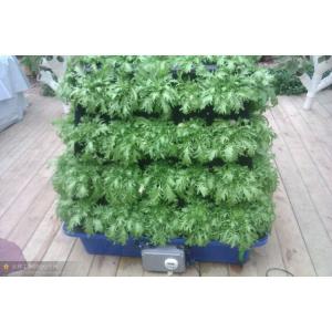 Commercial Aeroponics Hydroponic System For Greenhouse Vegetables Growing