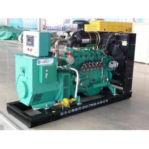 CNG LNG gas generator natural gas generator 300kw