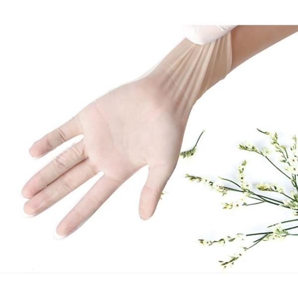 Buy Medical Pvc Disposable Gloves , Safety Disposable Surgical Gloves at wholesale prices