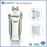 fast fat removal machine cryolipolysis zeltiq cooling body slimming machine for sale