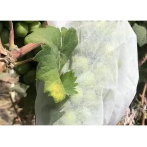 Thermal Insulation And Translucent Garden Cold-Proof Composite Nonwoven Fabrics