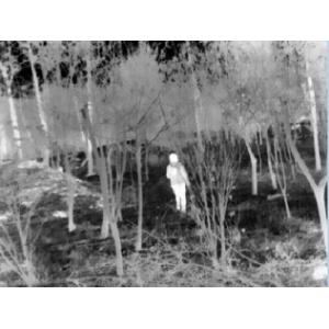 IP67 Auto Compensation Night Vision Riflescope Attachment For Hunting