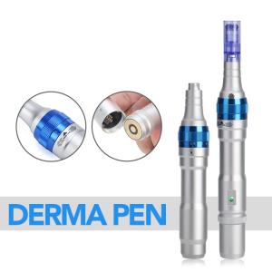 OEM ODM Microneedle Derma Pen With 12 Pin 36 Pin Nano Micro Needling