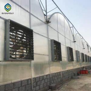 Hydroponic 9.6m Multi Span Pc Greenhouse For Agriculture