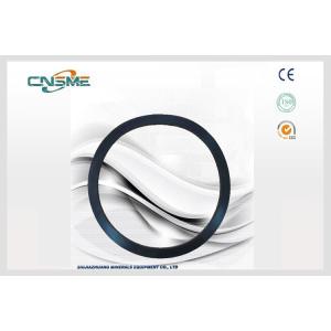High Pressure Slurry Pump Parts Black Sealing Ring D122 For Acidic Slurry