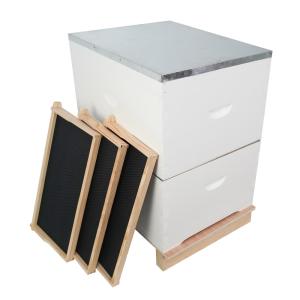 Plastic Frame 20mm Thick Pine Beekeeping Beehive With Foundation