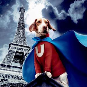 high bright el poster/ glowing movie poster/ custom poster