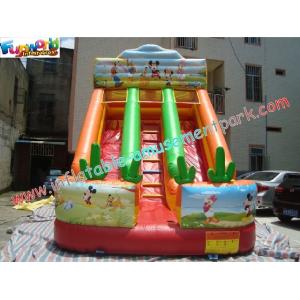 Rental Commercial Inflatable Slides With Double Line Slide