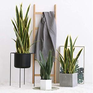 Height 100cm Artificial Potted Floor Plants Agave For Hotel Decor