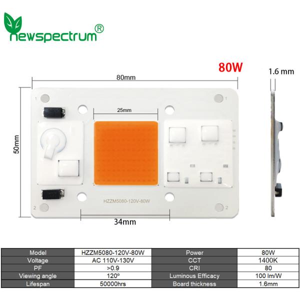 110V Solderless High Power Cob Led 80W High Luminous Efficiency