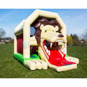 Commercial Inflatable Bouncer Slide Combo Children Jumping Castle