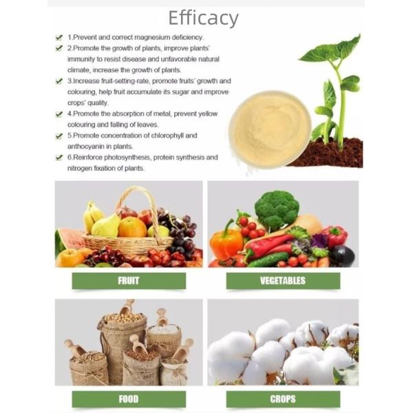 Organic Foliar Fertilizer Calcium Magnesium Chelated Amino Acid Powder