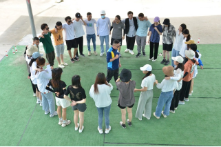 Panrose 611001 Building Blocks Puzzle Brain Dinosaur Series Large Tyrannosaurus Rex Toys