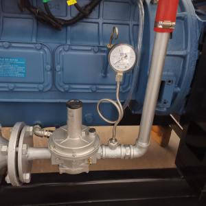 Portable Mini 10kw 20kw 5kw 3kw 2kw Natural Gas Micro Home Small Gas Turbine