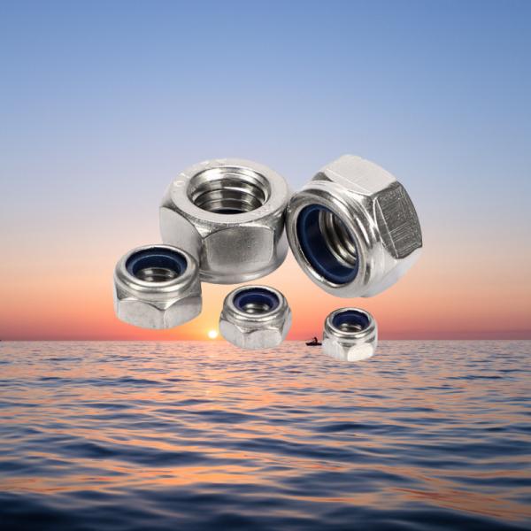 Healthcare Metric M5 5/16 Self-Locking Hexagon DIN985 Stainless Steel 304/316 Nylon Insert Lock Nut for Heavy Industry