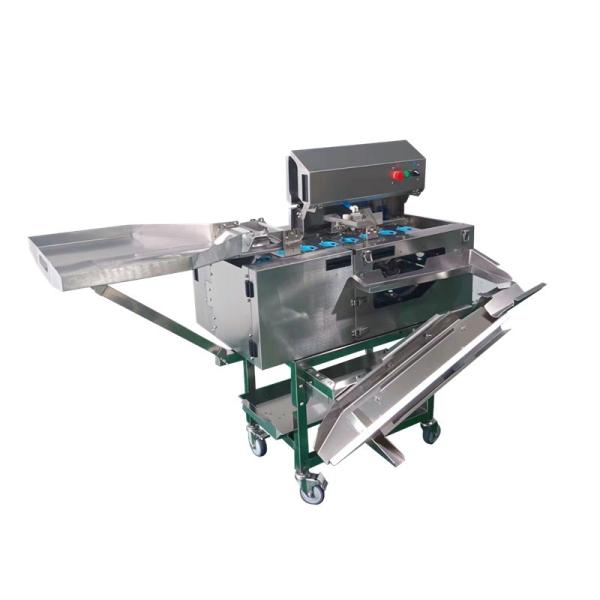 Easy To Operate Time-Saving And Labor-Saving Stainless Steel Single Row Egg