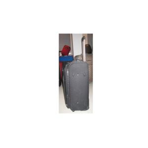Popular 2 Wheels Carry On Eva Trolley Case With Normal Combination Lock