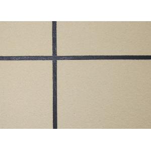 Waterborne Weather Resistant Exterior Paint , External Wall Coatings