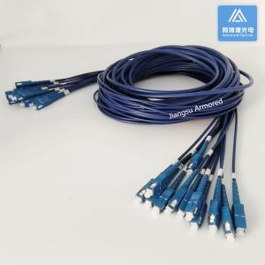 12 Cores Stainless Steel Armored Patch Cord SC-SC-30m Blue PVC 5.0mm Rodent