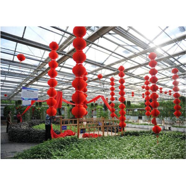 Beautiful Appearance Garden Glass Greenhouse Large Ventilated Area Shouguan