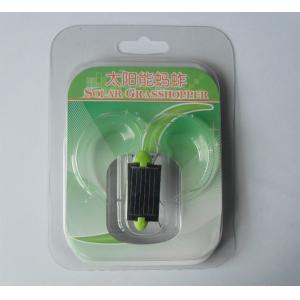 Solar Powered interesting solar tortoise