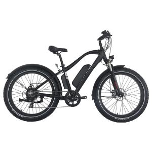 China 48V 750W Mountain E Bike with Tektro Hydraulic Brake system on sale