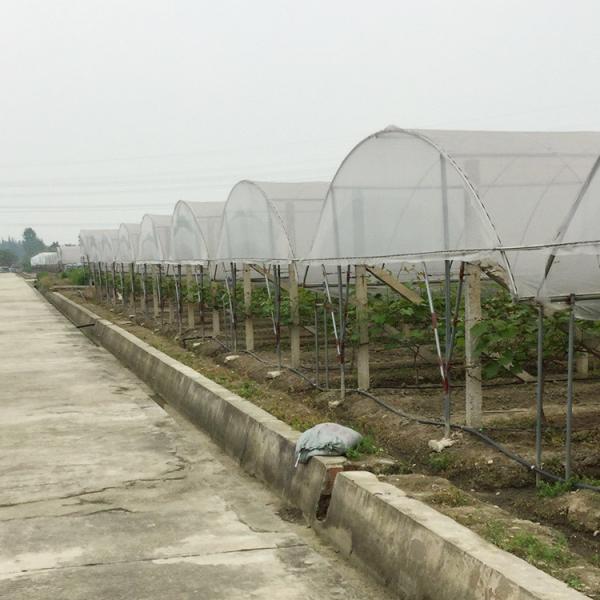 Buy Rain Shelter Tunnel Plastic Greenhouse 80mic 100 Micron 200micron at wholesale prices