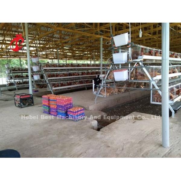 Egg Laying Chicken 96 Birds Broiler Battery Cage System Durable Corrosion Resistance Emily
