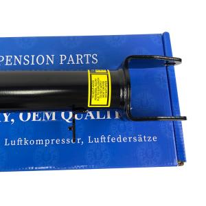 Tesla Model S RWD Coil Spring Shock Absorber Front Left and Right 1015619-01-E