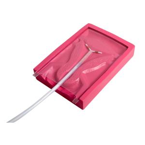 Quality Medical PVC IUD Insertion Gynecologic Simulator For Intrauterine for sale