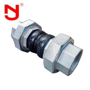 Stainless Steel Screwed Union Bspt Threaded Joint Flexible Threaded Expansion