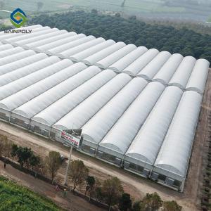 33ft Pe Elasticity Elliptical Plastic Film Greenhouse