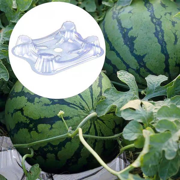 Customized vacuum formed transparent pet PET, PVC, PS plastic watermelon fixed base Hami melon anti corrosion and rotten support melon tray