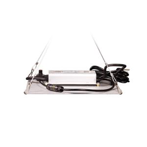 2KG 450nm Lm301b White LED Grow Light For Vegetables