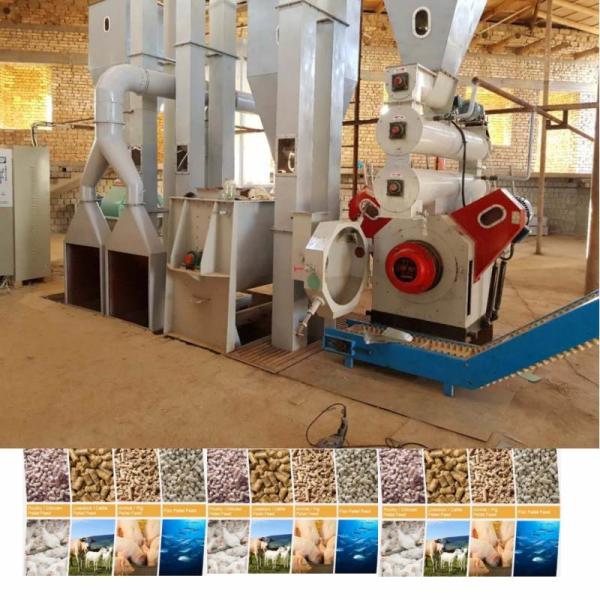 Flat Ring Die Pellet Mill Animal Feed Pelletizing Line for and Engineer Guide