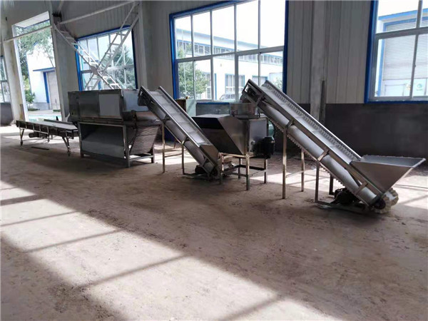 Buy big capacity garlic peeling line, garlic peeling machines, garlic peeler at wholesale prices