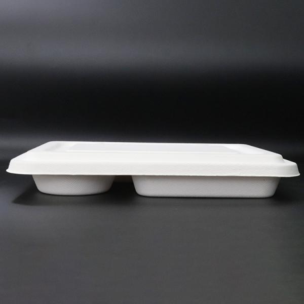New item Compostable bagasse oblong 5 section compartment dinner Plate
