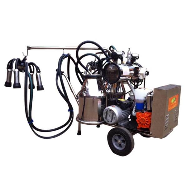 Buy Stable Vacuum Pump Milking Machine Easy To Carry at wholesale prices