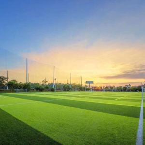 2021 Japan/korea Grass Artificial Turf Soccer Field 2 Years 3/4inch 40-60mm CN;JIA PP+ PE PP+NET Flyon
