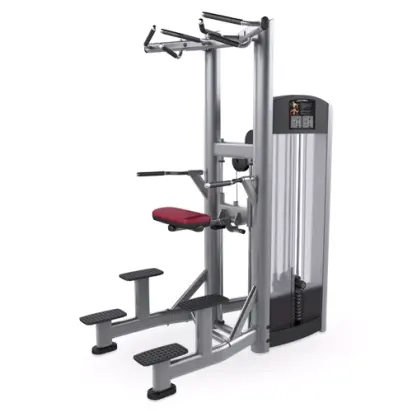 Commercial Gym Equipment Steel Pin Loaded Pull-up Bar and Dipping Machine for Triceps Deltoids Workout Medium Loader