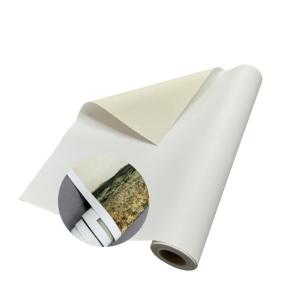 Printable Art Canvas 360gsm Inkjet Printing Pure Cotton Canvas Roll