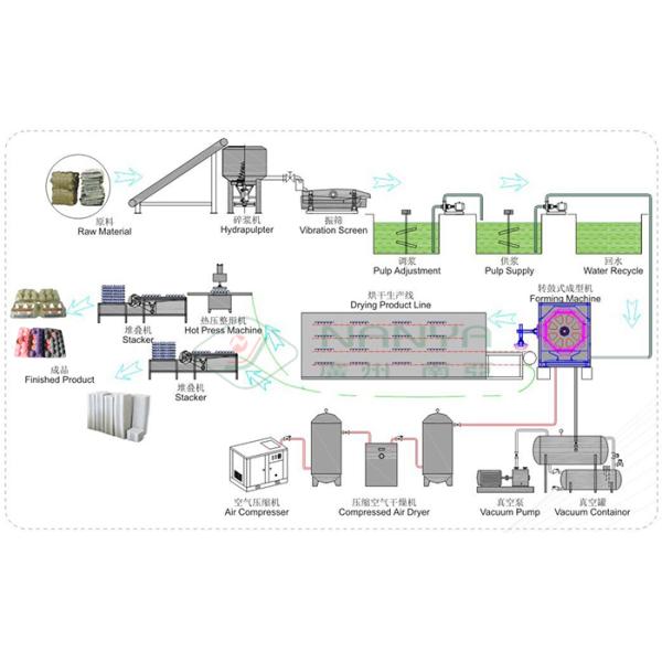 Biodegradable Recycled Paper Egg Tray Machine with 3000Pcs / H Capacity