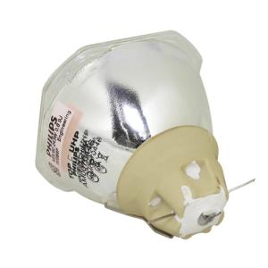 215Watt 54X54mm Epson Projector Bulbs ELPLP90 for Business