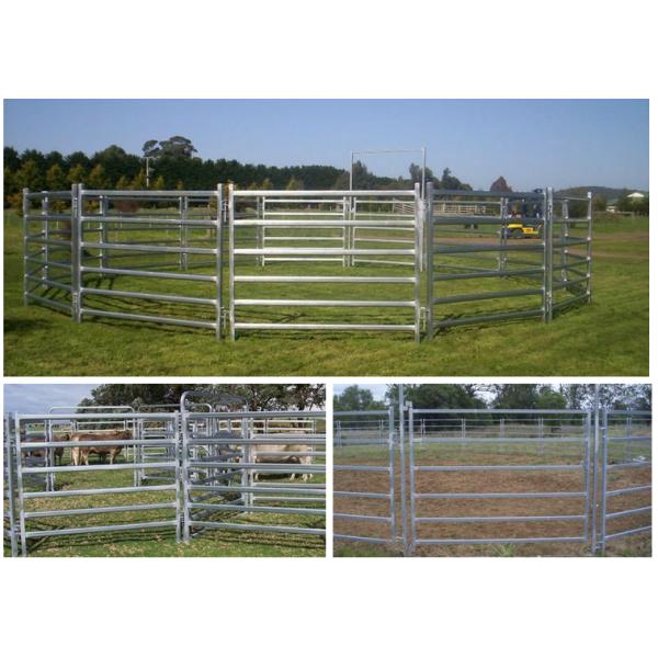pvc pipe livestock cattle corral panels