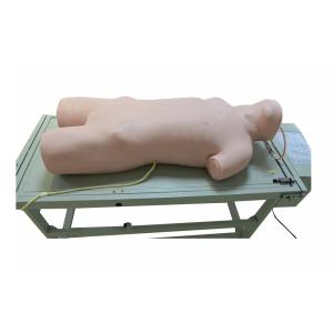 Comprehensive Puncture Clinical Simulation Various Postions for Hospitals