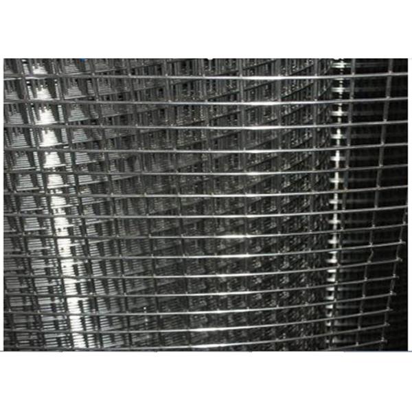 Spot Welded Wire Mesh Chicken Gauge Galvanized Wire Fence Panels