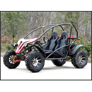250cc Go Kart Dune Buggy Racing Kart For Adult With 2 Big Head Lights